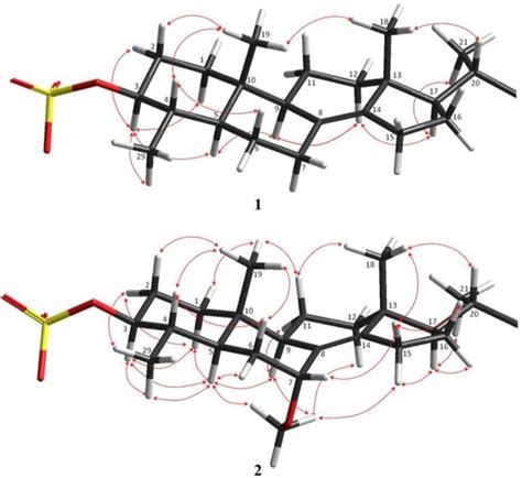 Marine Drugs | Special Issue : Marine Anti-infective Agents