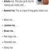 How many different varieties of rice are there and what are the ...