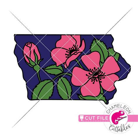 Iowa state flower Wild Rose layered svg png dxf eps jpeg Chameleon ...
