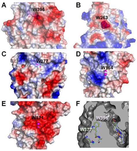 Comparing Ligninolytic Capabilities of Bacterial and Fungal Dye ...