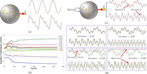 Image result for Complex Pattern Integration