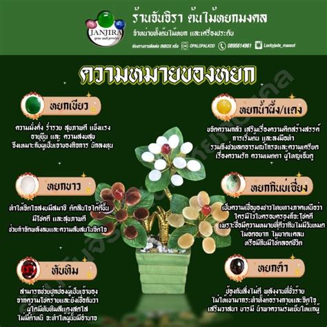 ต้นหยกจิ๋ว รุ่นก้าวหน้ารุ่งเรืง ต้นไม้หยกมงคล หยกพม่าส่งฟรี+แถมกำไลหยก ...