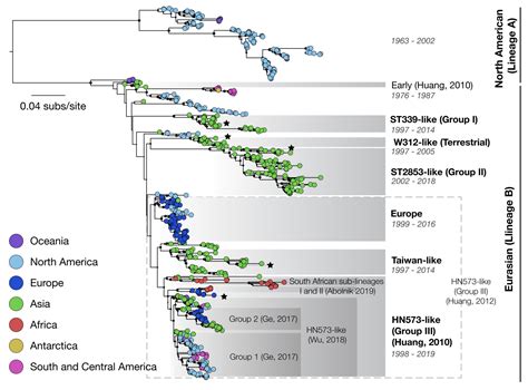 The Evolution, Spread and Global Threat of H6Nx Avian Influenza Viruses