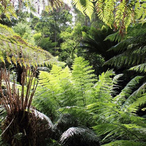 MAIT'S REST (2025) All You Need to Know BEFORE You Go (with Photos ...