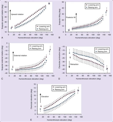 Image result for Scapular Rotation Dysfunction