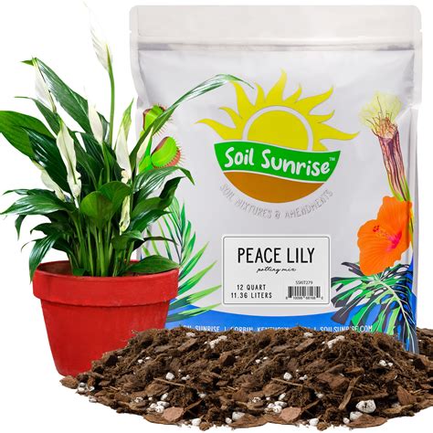 Peace Lily Potting Soil Mix (12 Quarts), for Planting, Growing, or ...