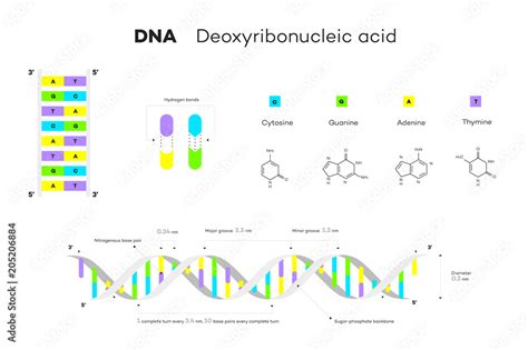 Genes 的图像结果
