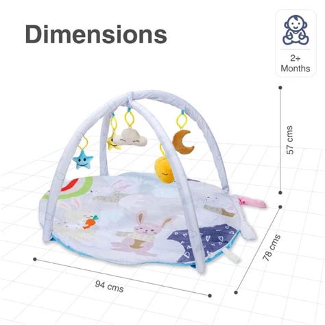 R for Rabbit First Play Rabbit Play Gym (Multi) — Toycra