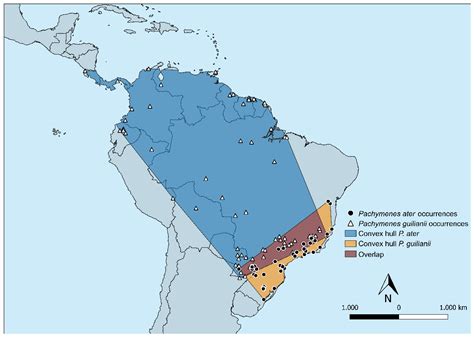 Integrative Taxonomy Clarifies Species Limits in Two Closely Related ...