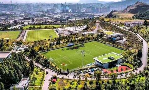 Crowned Sportsfield 的图像结果