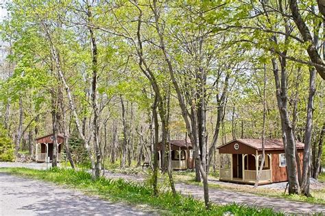 PEACEFUL WOODLANDS FAMILY CAMPGROUND (Blakeslee) - Campground Reviews ...