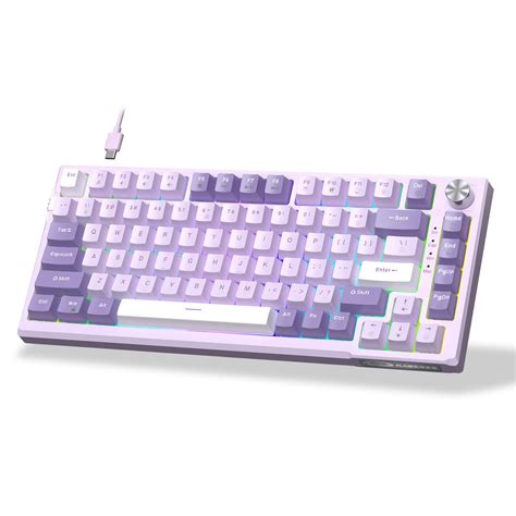 Buy MageGee 81-Key ket Mechanical Keyboard,Hot-Swappable 75% Keyboard ...