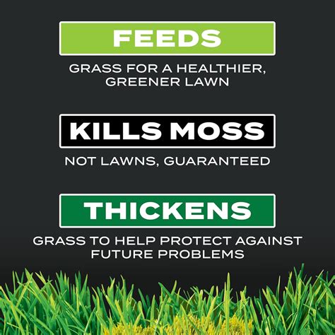 Scotts Turf Builder Triple Action for Moss Control, India | Ubuy
