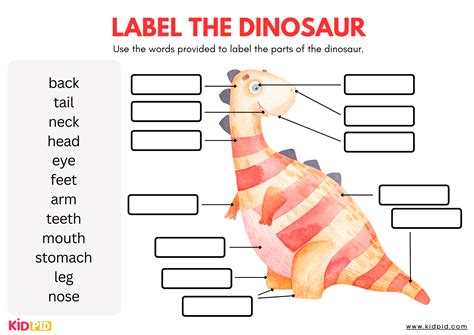 Dinosaur Body Parts Dinosaur Body Parts Printable