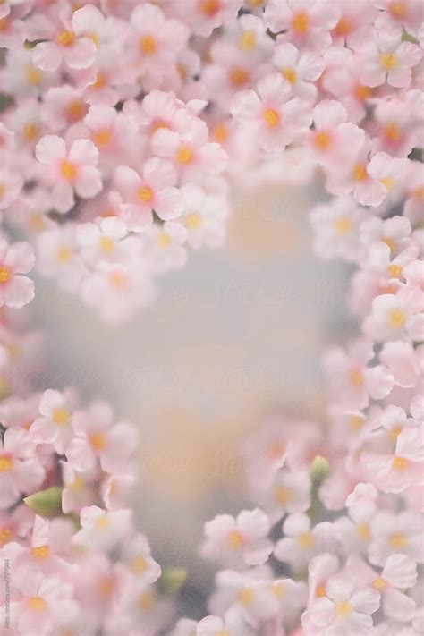 Image result for Spring Pink 2D