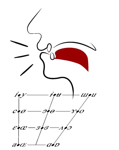 Image result for IPA Explained