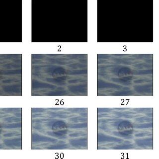 Image result for Fade Out Example