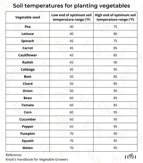 Lettuce Germination Temperature at Noah Anivitti blog