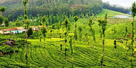 Karnataka Tour Package - Travel Planner, karnataka tour package from ...