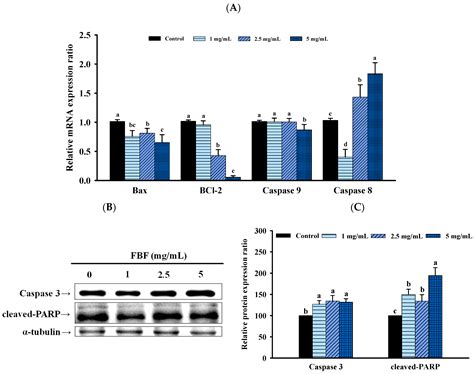 Exploring the Anti-Cancer Effects of Fish Bone Fermented Using Monascus ...