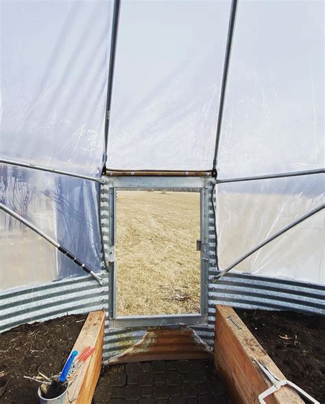 Image result for Dunstan Chestnut Tree Problems