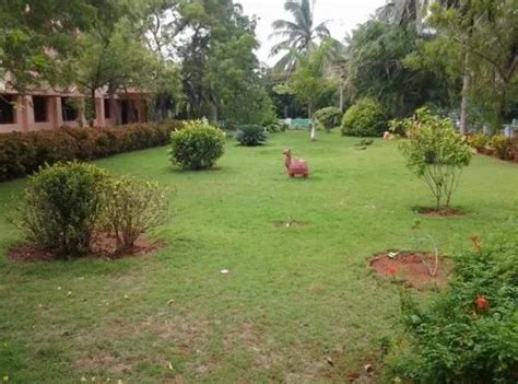 RVS Agriculture College Thanjavur Campus: Photos, Virtual Tour