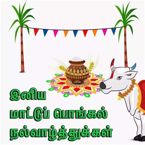 Mattu Pongal Wishes in Tamil : மாட்டு பொங்கல் வாழ்த்து செய்தியை ...