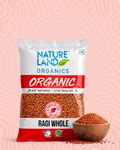 Buy Organic Millets Online in India - Unpolished Millets – Natureland ...
