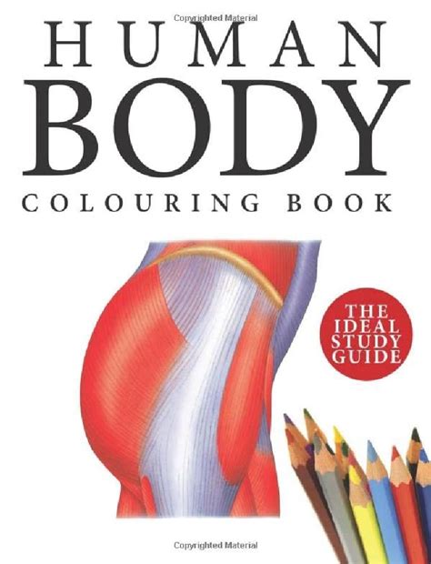Buy Human Body Colouring Book: Human Anatomy in 215 Illustrations Book ...