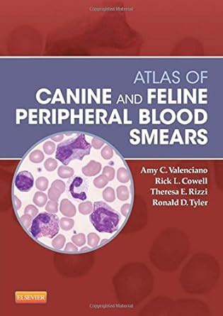 Buy Atlas of Canine and Feline Peripheral Blood Smears (Small Animal ...