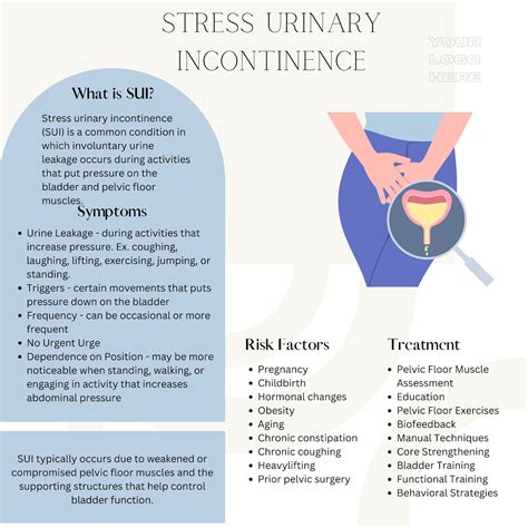 Stress Urinary Incontinence Handout Pelvic Floor Physical Therapy, Digital Download Pelvic Floor ...