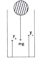 Consider the motion of a small spherical steel body of mass m, falling ...