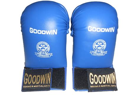 Buy M N Traders Kai Approved Goodwin Boxing Karate Gloves for Training ...