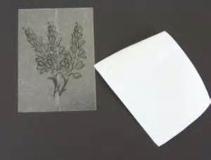 Image result for Tutorials for Using Pearl Ex