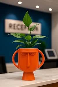 DDSS TT-1/2 Classic FACE Design Ceramic Pot for Succulent/Herbs/Cactus ...