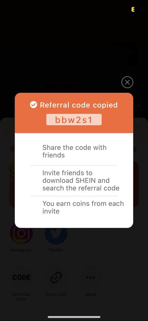 Image result for Code Promo Shein Youtubeuse