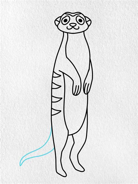 How to Draw a Meerkat - HelloArtsy