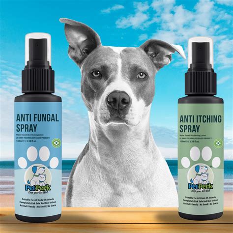 Affordable Kits for Dogs – Pet Perk