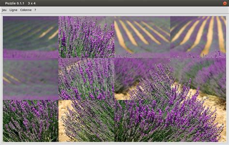 Image result for Coder Un Jeu Avec Tkinter