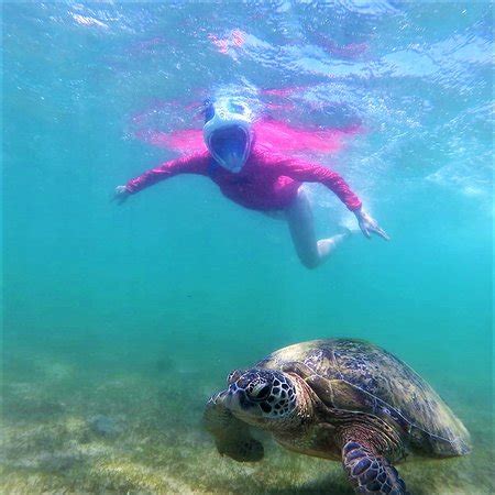 Polhena Beach (Matara) - 2020 What to Know Before You Go (with Photos ...