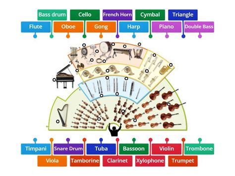 Image result for Orchestra Sections