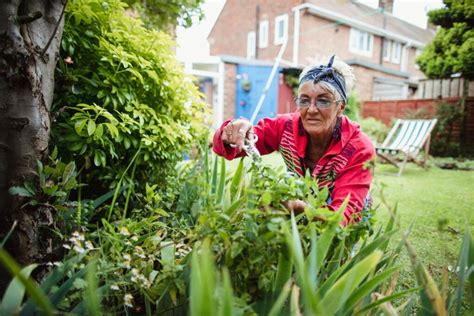 Outdoor Sports for the Aged 的图像结果