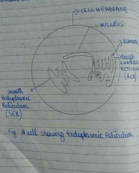 observe the image below and identify the statement which best describe ...