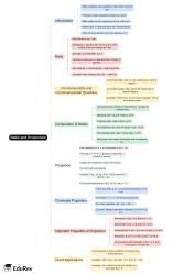 Mind Map: Ratio and Proportion - Mathematics Class 10 ICSE PDF Download