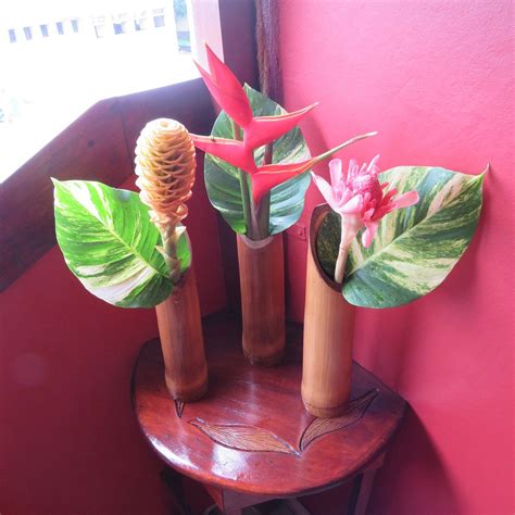 MICAVAL RESIDENTIAL (Sao Tome) - Specialty Inn Reviews, Photos, Rate ...