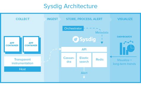 Image result for Sysdig