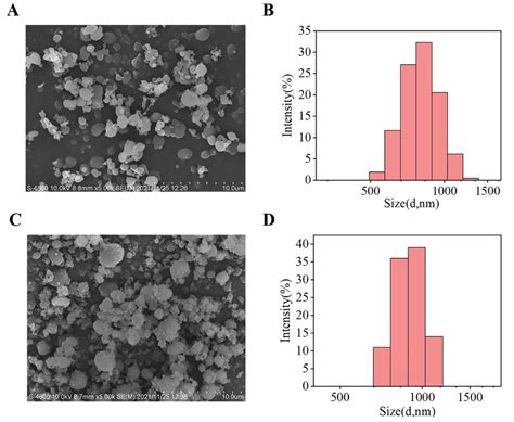 Supercritical Fluid-Assisted Fabrication of PDA-Coated Poly (l-lactic ...