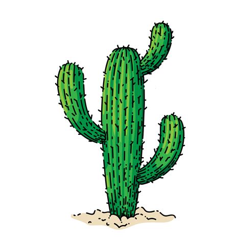 cactus plant sketch hand drawn vector 17420876 Vector Art at Vecteezy