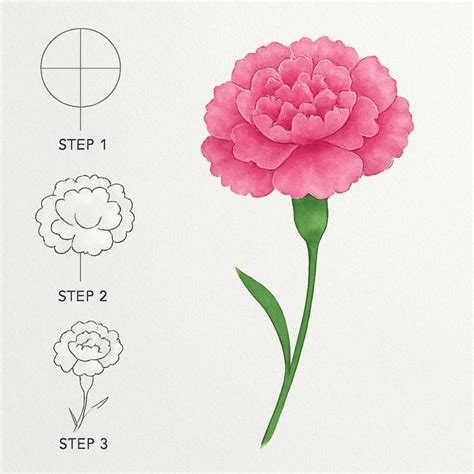 Image result for Drawing Tutorial for Flower