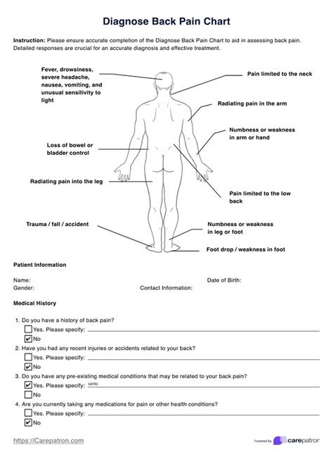 Diagnose Back Pain Charts & Example | Free PDF Download